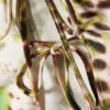 Kurzes bedrucktes Neckholder-Top – braune und grüne Blumenpunkte Kurzes bedrucktes Neckholder-Top – braune und grüne Blumenpunkte