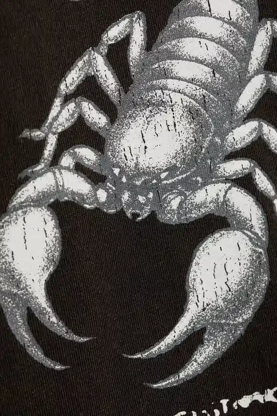 Lässiges Langarmshirt mit Print – Schwarz – Skorpion Lässiges Langarmshirt mit Print – Schwarz – Skorpion