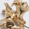Spun Hoops – Golden Spun Hoops – Golden